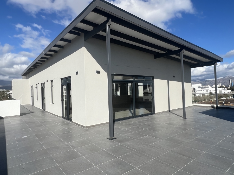 To Let Commercial Property for Rent in Paardevlei Western Cape